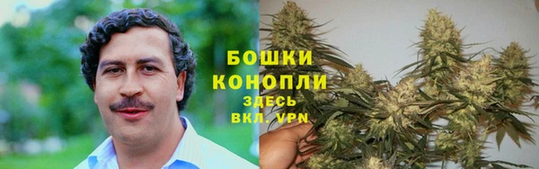 тгк Балахна